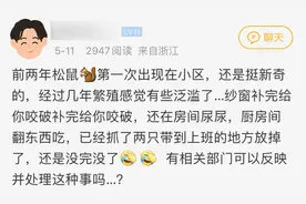 杭州一小区“小可爱”泛滥成灾害！业主都怕了：多次闯入我家，根本抓不完图片