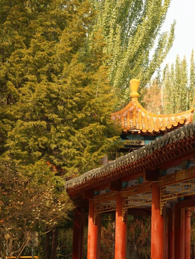 听，呼和浩特秋天的BGM正在你耳边播放