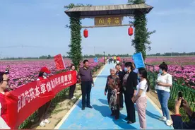 阳信县洋湖乡科协开展“弘扬芍药本草情 助力科技健康梦”活动图片