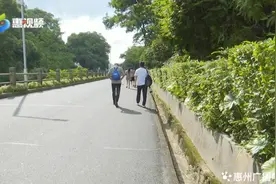 万一被毒蛇咬伤，惠州这些医院有抗蛇毒血清图片