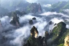 现在去张家界还有这些优惠图片