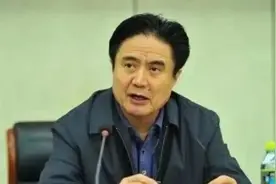 贪婪腐化、恣意妄为，“老虎”罗保铭被决定逮捕！图片