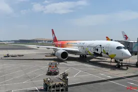 川航第七架A350熊猫主题涂装飞机首航！芋圆冰粉、熊猫蛋糕上线图片