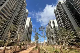 海口江东新区大型回迁房项目“椰青园S01”进入收尾阶段图片