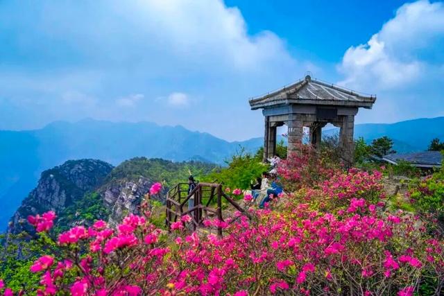 一花一瀑一云烟，庐山春意正当时