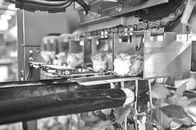 快给包装“瘦瘦身”图片