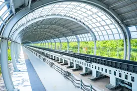 全球最快！能“贴地飞行”的列车来了图片