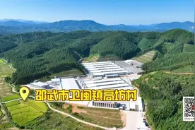 乡村欢乐购丨大山生态鸡蛋：满满“硒”引力，重温儿时味道......图片