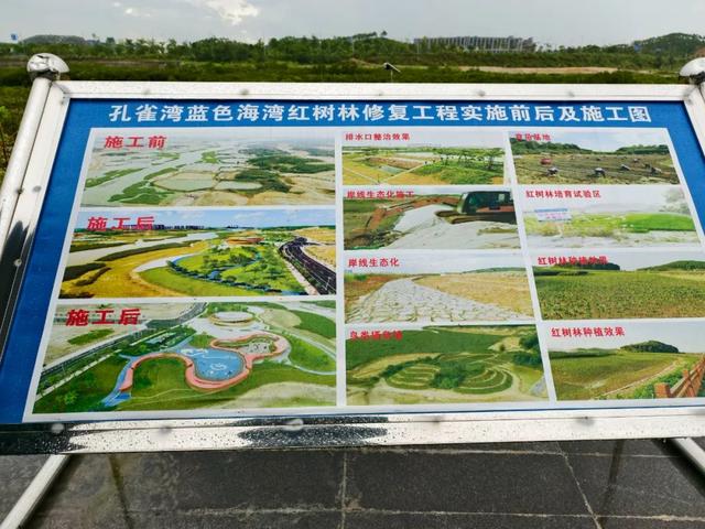 钦州为全球海洋治理提供了“中国方案”
