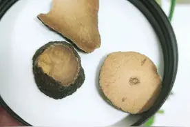 甲流后痰多又咳嗽，快用它泡水喝，强力清肺！图片