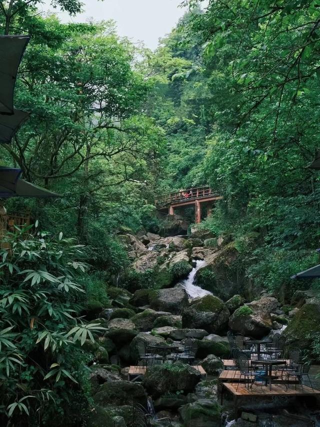 离开浪浪山，趁着周末正好到成都的山里来浪一浪！