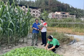 农银人寿十堰中支开展“担当新使命 消保县域行”金融教育宣传活动图片