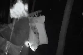 大爷懵了：我怎么干山东潍坊来了呢？图片