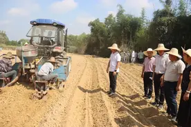 @融水蔗农 请查收甘蔗种植扶持政策→图片