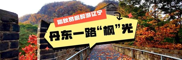 层林尽染、漫山绚烂，这就是辽东的秋天！