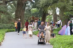 江西乐安：山水古村显活力 乡村旅游受热捧图片