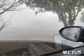 高速路入口刚刚开放！交警提醒：雾天驾驶安全第一图片