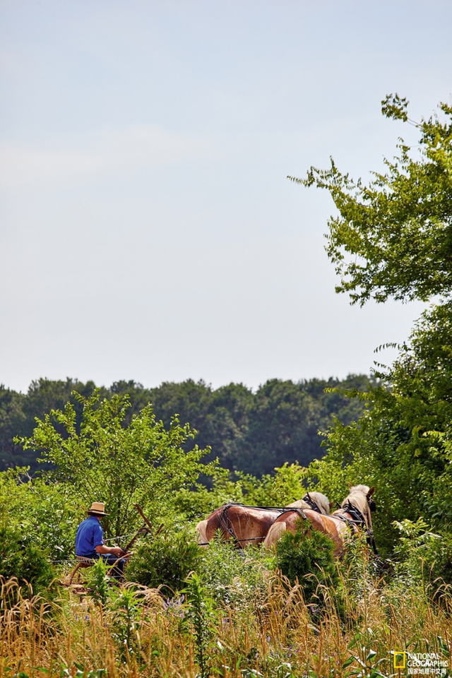 食物，了解田纳西州阿米什乡的独特窗户