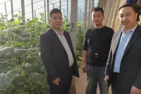 内黄县农信联社：发放“豫商种植贷” 助农种好“致富菜”图片