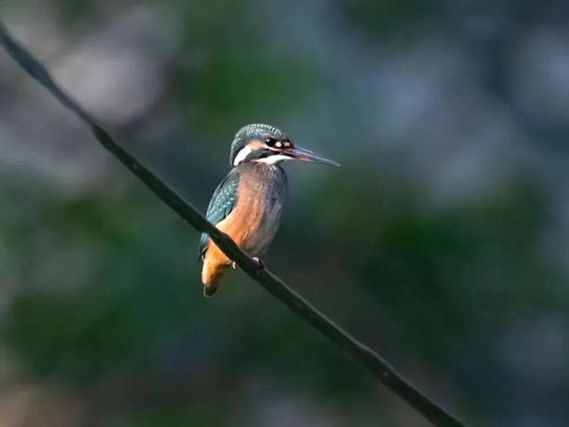 北京冬日限定“奇观”！就到月底！快冲→