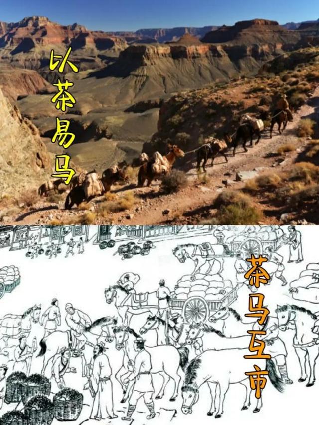茶马古道有人家