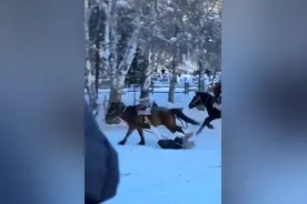 事发阿勒泰，女子被马拖行百米！景区回应图片