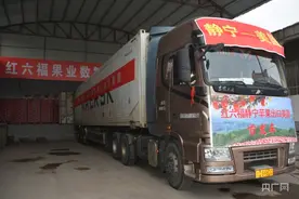 甘肃静宁苹果首次出口美国图片