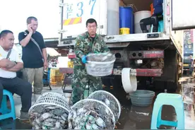 小型渔船开始近海捕捞，烟台海鲜市场出现供销两旺！图片