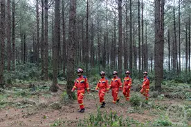 重庆南川：专业应急救援队加强森林防火巡护图片