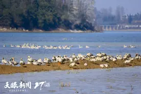 冬游贵州 别有风景 | 毕节上榜飞猪元旦假期黑马目的地，有游玩攻略哦图片