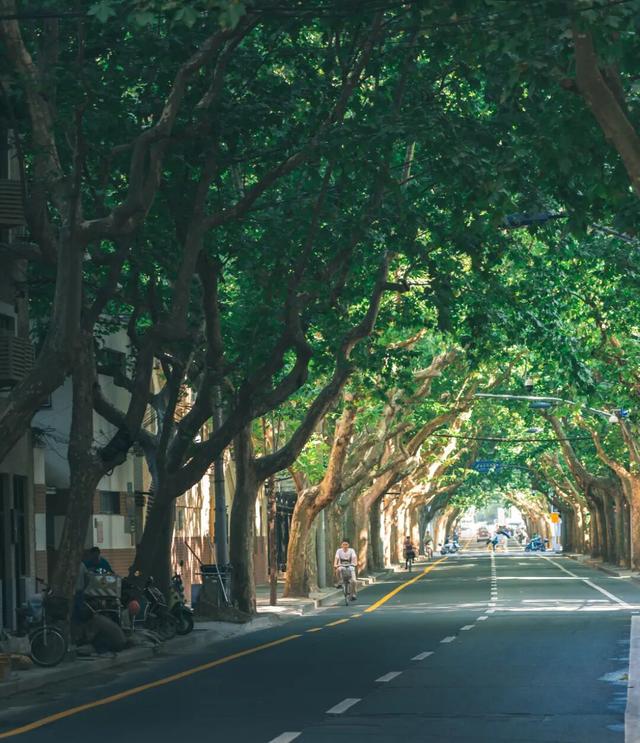 宝藏公交，移动的风景画廊