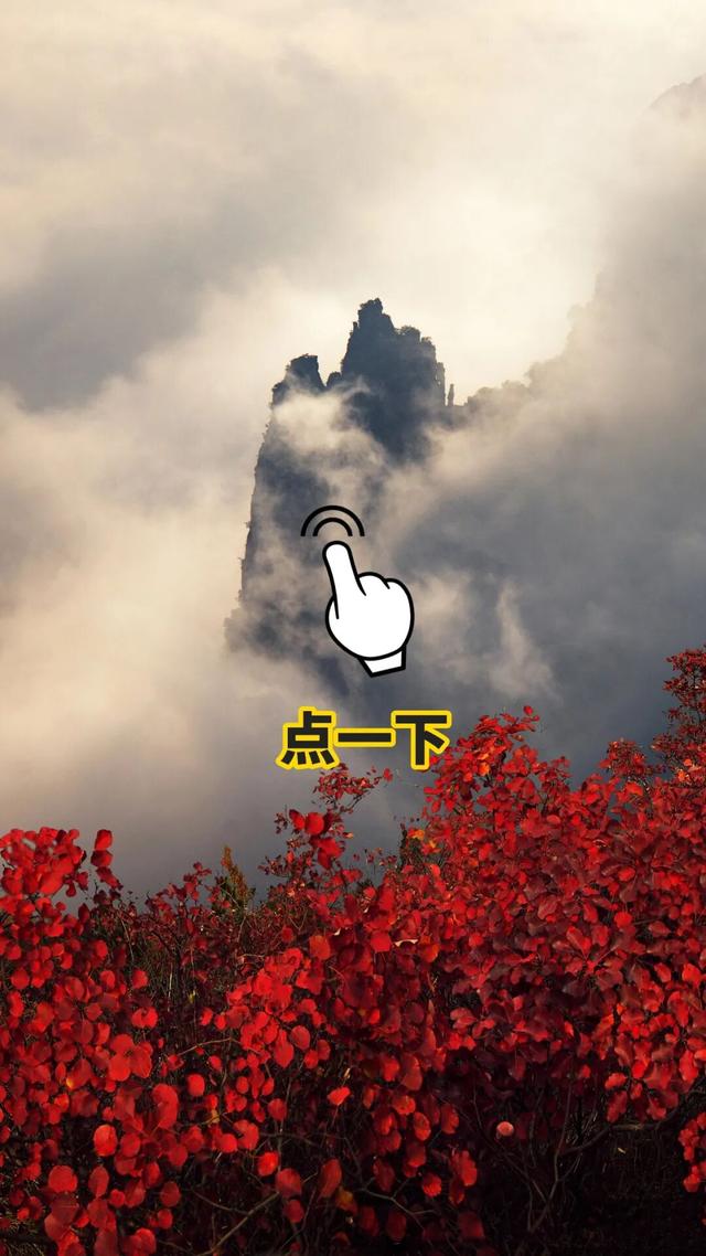 你拍的红叶总“差点意思”？问题可能出在第一步！