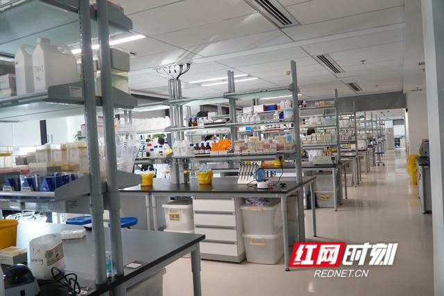 长沙“研”值⑯ | 锻造精准医学“尖兵”，筑梦全球研发高地