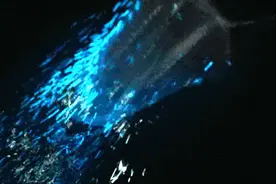 平潭蓝眼泪来了  开启年度浪漫之约图片