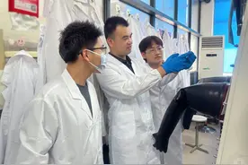 科技人才评价改革｜不拘一格降人才，应用技术型高校的科技人才评价改革之路图片