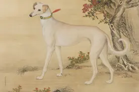 宠爱联萌 | 原来这就是“梦中情子”的模样图片