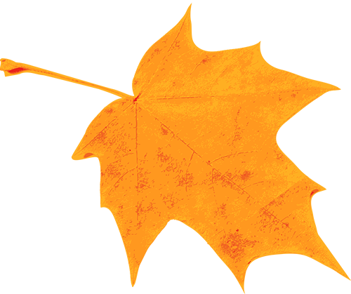 日照街道的这些地方！美极了！