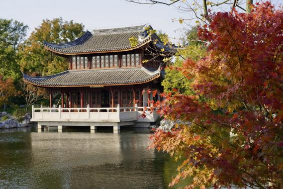 音乐、园林、花海、萌宠、夜游……双子山下“璀璨之秋”启幕，时间超过一个月