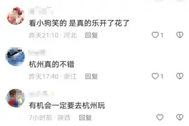 杭州高架突发！视频曝光，太罕见！网友看完都笑了.....图片