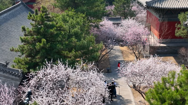 寄情山海间！山西的春天热烈登场