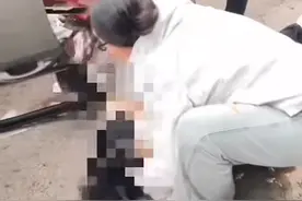 高速路上紧急救援！广东这位女护士又一次挺身而出图片