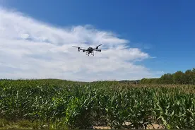 赤峰市林西县：无人机“飞防”显身手 防治病虫害保丰收图片