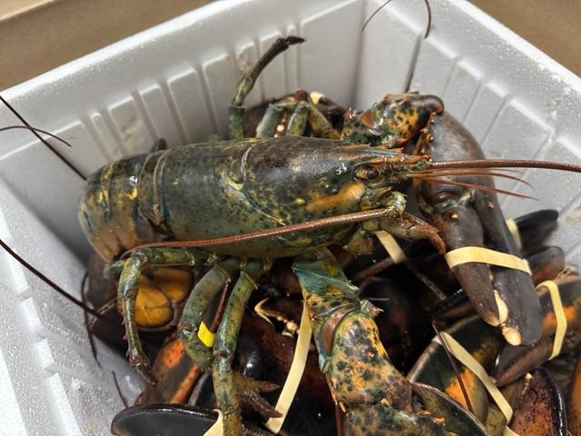 天津有海吗？天津的海有什么？