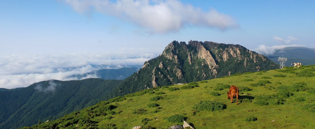 寄情山海间！山西的春天热烈登场