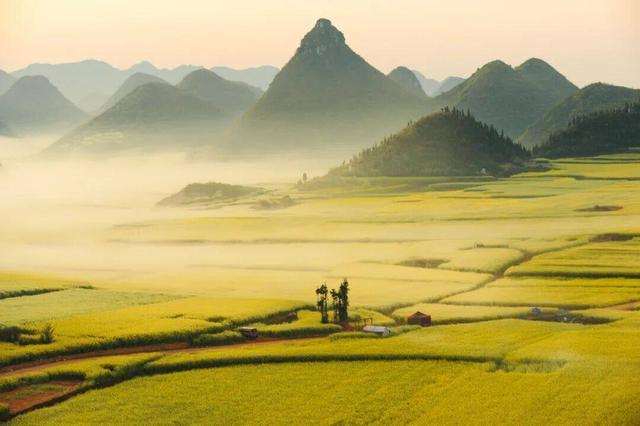 亲爱的阿迪，这里有你的一封信……