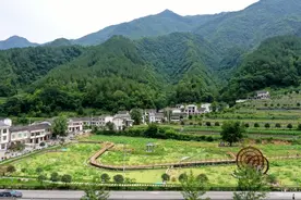 以“绿”生金 城口实现生态经济“双向奔赴”图片