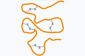 烫头发和蒸馒头的原理居然是一样的？图片
