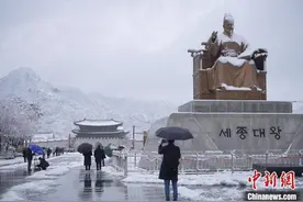 韩国大雪致150架航班取消 首尔积雪量刷新历年同月纪录图片