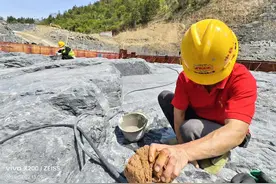 几十万居民40余年的梦想！这座百年大坝容不下一粒沙尘图片