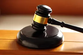 3男子铺设电网非法狩猎野猪，一人触电身亡 两同伴被判拘役并分别赔偿10万元图片